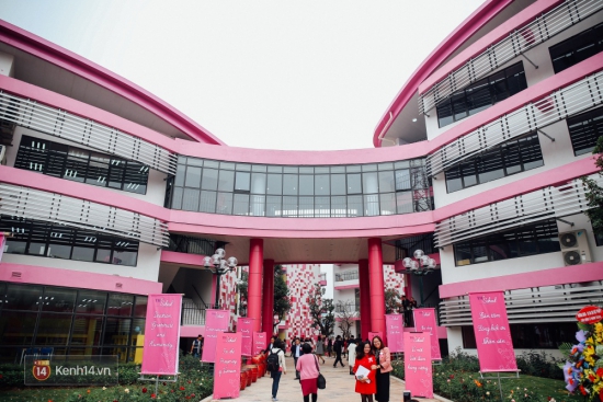 TRƯỜNG TH TRUE MILK HÒA LẠC